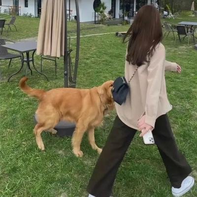 我们的错误 海报